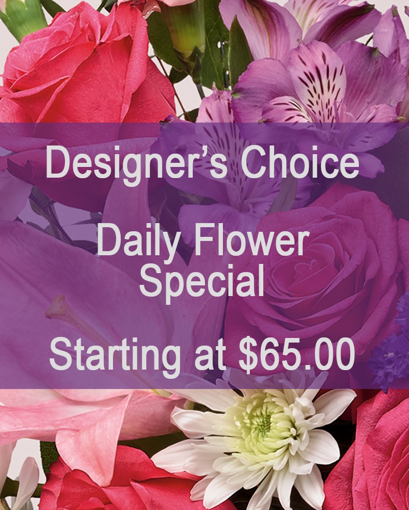 Deal of the Day